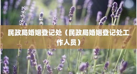 民政局婚姻登记处（民政局婚姻登记处工作人员）