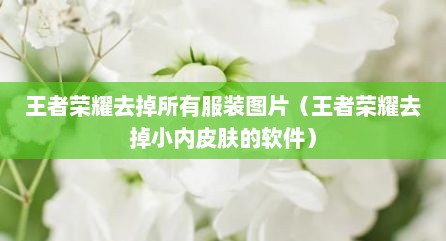 王者荣耀去掉所有服装图片（王者荣耀去掉小内皮肤的软件）