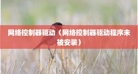 网络控制器驱动（网络控制器驱动程序未被安装）