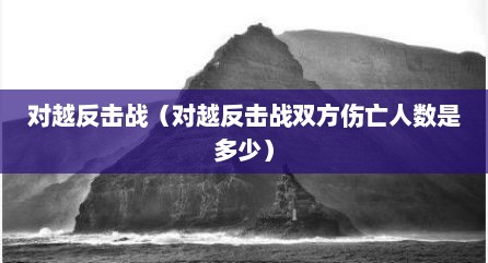 对越反击战（对越反击战双方伤亡人数是多少）