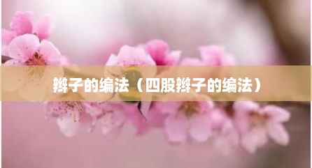 辫子的编法（四股辫子的编法）