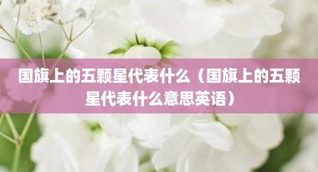 国旗上的五颗星代表什么（国旗上的五颗星代表什么意思英语）