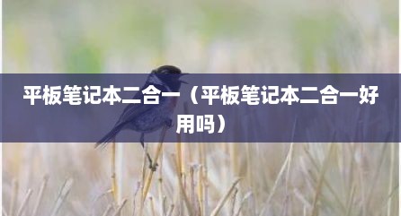 平板笔记本二合一（平板笔记本二合一好用吗）