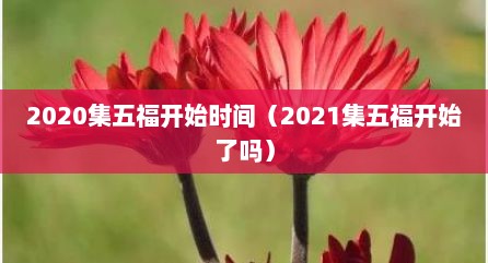 2020集五福开始时间（2021集五福开始了吗）