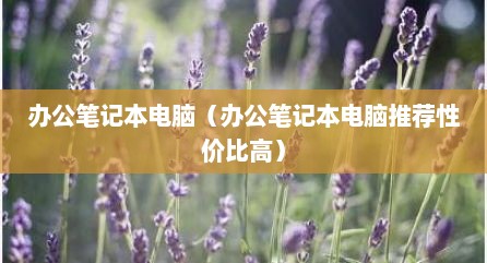 办公笔记本电脑（办公笔记本电脑推荐性价比高）