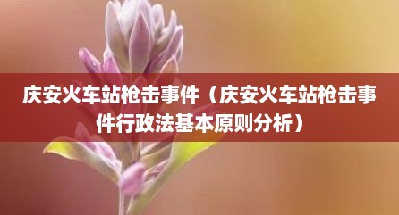 庆安火车站枪击事件（庆安火车站枪击事件行政法基本原则分析）