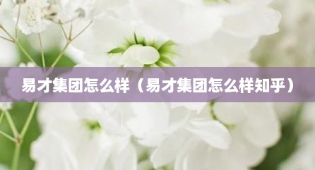 易才集团怎么样（易才集团怎么样知乎）