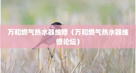 万和燃气热水器维修（万和燃气热水器维修论坛）