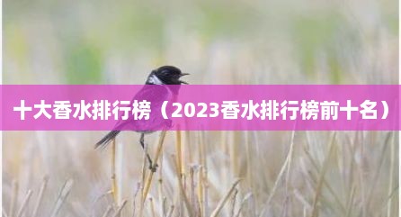 十大香水排行榜（2023香水排行榜前十名）