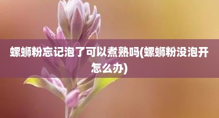 螺蛳粉忘记泡了可以煮熟吗(螺蛳粉没泡开怎么办)