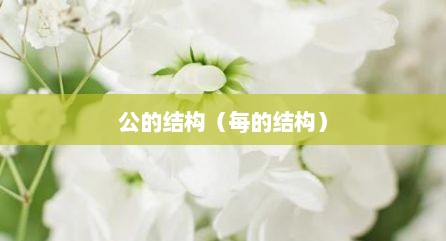 公的结构（每的结构）