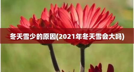 冬天雪少的原因(2021年冬天雪会大吗)