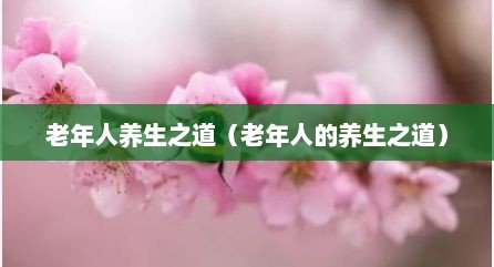 老年人养生之道（老年人的养生之道）