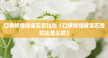 口袋妖怪绿宝石雪拉比（口袋妖怪绿宝石雪拉比怎么抓）