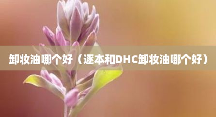 卸妆油哪个好（逐本和DHC卸妆油哪个好）