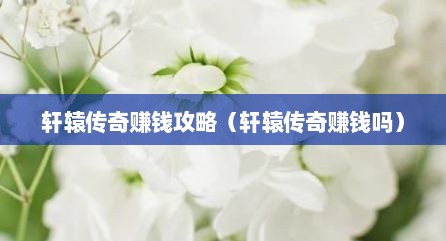 轩辕传奇赚钱攻略（轩辕传奇赚钱吗）