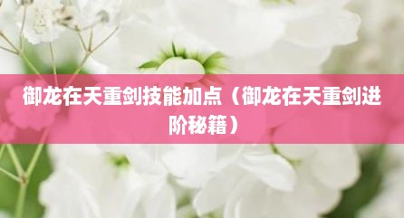 御龙在天重剑技能加点（御龙在天重剑进阶秘籍）