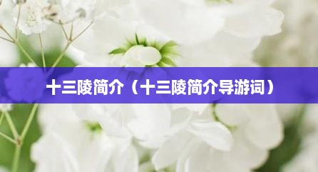 十三陵简介（十三陵简介导游词）