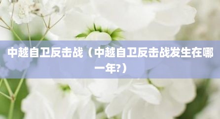 中越自卫反击战（中越自卫反击战发生在哪一年?）