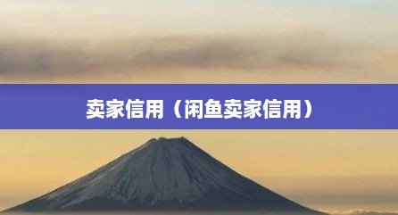 卖家信用（闲鱼卖家信用）