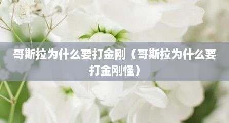 哥斯拉为什么要打金刚（哥斯拉为什么要打金刚怪）