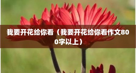 我要开花给你看（我要开花给你看作文800字以上）