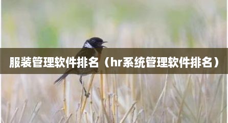 服装管理软件排名（hr系统管理软件排名）