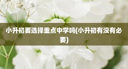 小升初要选择重点中学吗(小升初有没有必要)