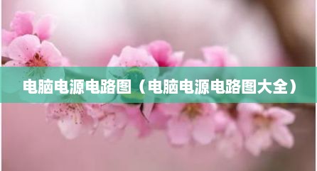 电脑电源电路图（电脑电源电路图大全）