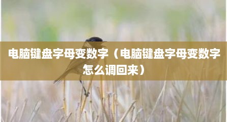 电脑键盘字母变数字（电脑键盘字母变数字怎么调回来）