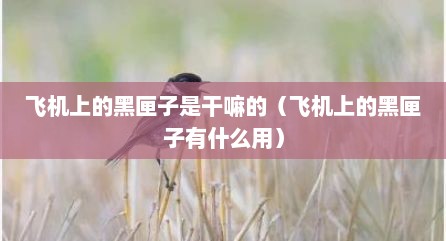 飞机上的黑匣子是干嘛的（飞机上的黑匣子有什么用）