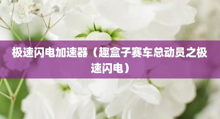 极速闪电加速器（趣盒子赛车总动员之极速闪电）