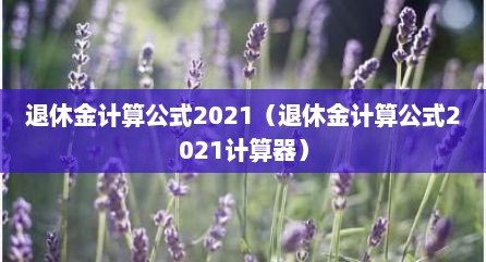 退休金计算公式2021（退休金计算公式2021计算器）