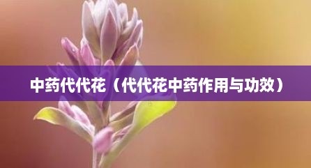 中药代代花（代代花中药作用与功效）