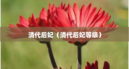 清代后妃（清代后妃等级）