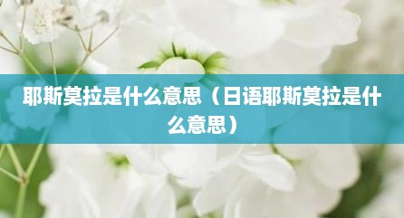 耶斯莫拉是什么意思（日语耶斯莫拉是什么意思）