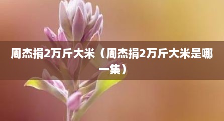 周杰捐2万斤大米（周杰捐2万斤大米是哪一集）