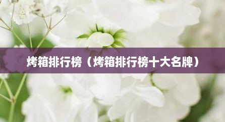 烤箱排行榜（烤箱排行榜十大名牌）