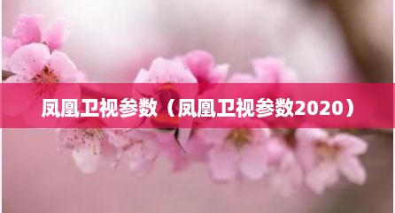 凤凰卫视参数（凤凰卫视参数2020）