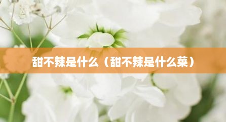 甜不辣是什么（甜不辣是什么菜）