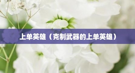 上单英雄（克制武器的上单英雄）