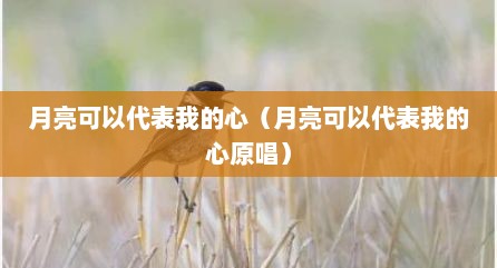 月亮可以代表我的心（月亮可以代表我的心原唱）