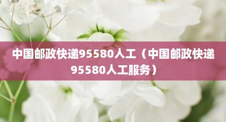 中国邮政快递95580人工（中国邮政快递95580人工服务）