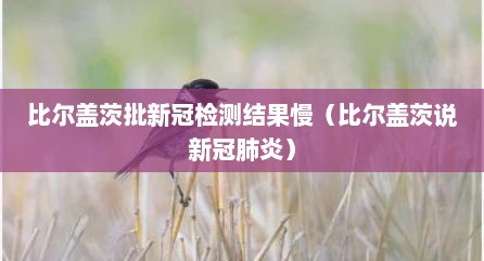 比尔盖茨批新冠检测结果慢（比尔盖茨说新冠肺炎）