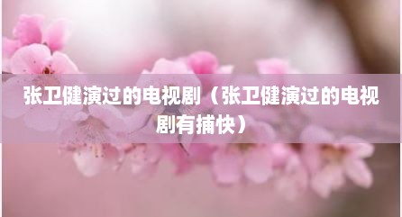 张卫健演过的电视剧（张卫健演过的电视剧有捕快）