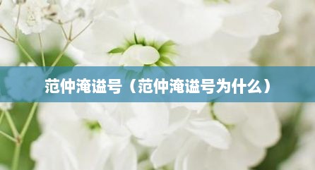 范仲淹谥号（范仲淹谥号为什么）