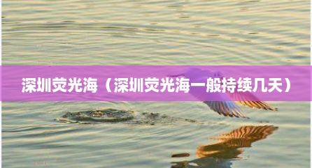 深圳荧光海（深圳荧光海一般持续几天）