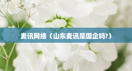 麦讯网络（山东麦讯是国企吗?）