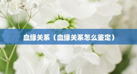 血缘关系（血缘关系怎么鉴定）