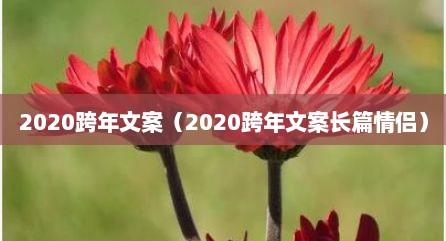 2020跨年文案（2020跨年文案长篇情侣）